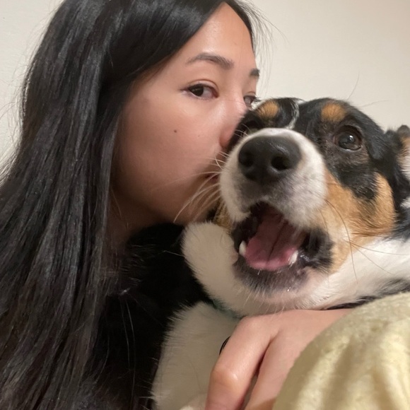 Meet your Posher, Jamie - Picture 1 of 1